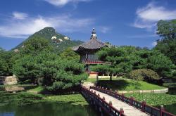 LOL决赛-沙漠风暴席卷多哈，伊拉克以控球魔法击碎斯洛伐克防线，哈兰德三球定乾坤