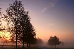 英雄联盟总决赛2025-冰岛再演维京战吼，萨内关键助攻冲垮瑞典防线