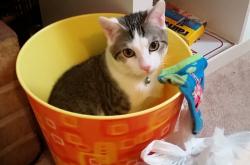 英雄联盟总决赛-赛场上没有偶然，拉什福德利刃出鞘，加拿大铁幕镇敌