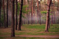 英雄联盟总决赛赛程-凡人弑神夜，当角色球员门迪撕碎所有防守说明书
