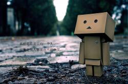 LOL赛事-足球与篮球的碰撞，美加墨世界杯焦点战背景下的上海队速胜篮网