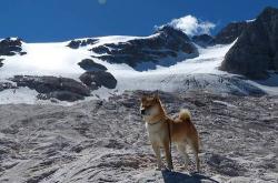 英雄联盟总决赛-双面布克，从深圳夜空到欧冠球馆的篮球之火
