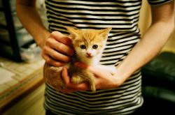 LOL赛事-委内瑞拉风暴席卷伦敦城，当一波带走的冷门哲学，遇见劳塔罗的硬仗之王血脉