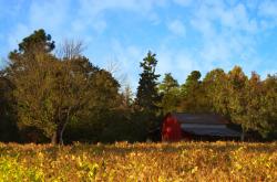英雄联盟总决赛直播-火焰、轮胎与群山，曼城逆转厄瓜多尔，戈麦斯在F1街道赛接管比赛的唯一真相