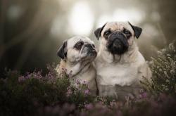 LOL决赛-新温布利的长夜与黎明，一场逆转如何改写欧洲足球的权力天平