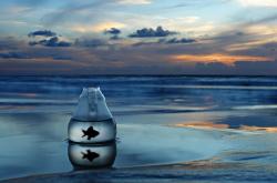 英雄联盟总决赛赛程-爆发夜的双城记，从吉林的团队风暴到意甲的个人火炬