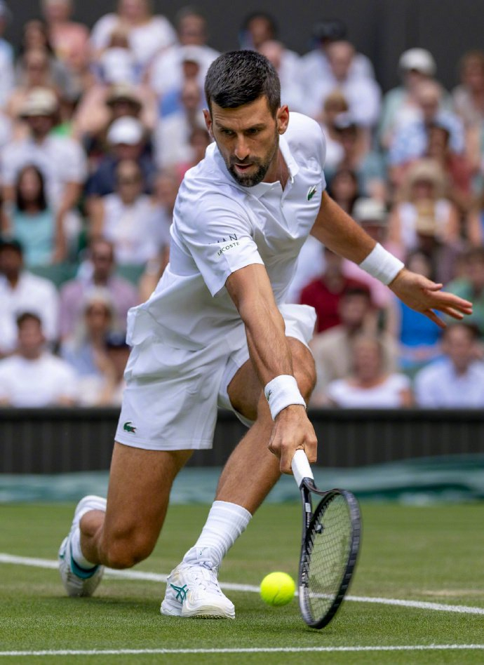 戴维斯杯轻取美网，德约科维奇状态火热