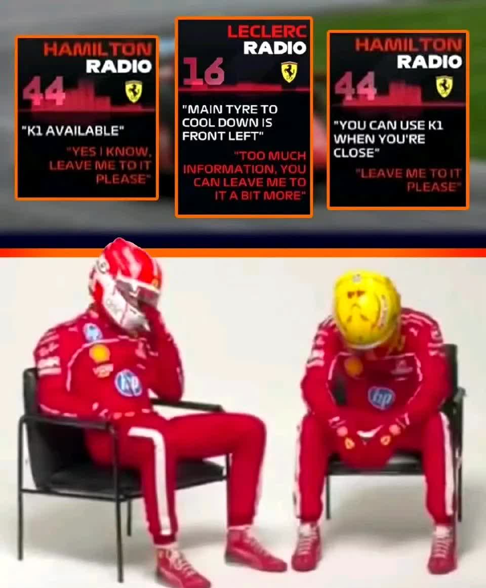 雷诺车队横扫红牛二队,拉塞尔带队取胜 雷诺车队横扫红牛二队,拉塞尔带队取胜