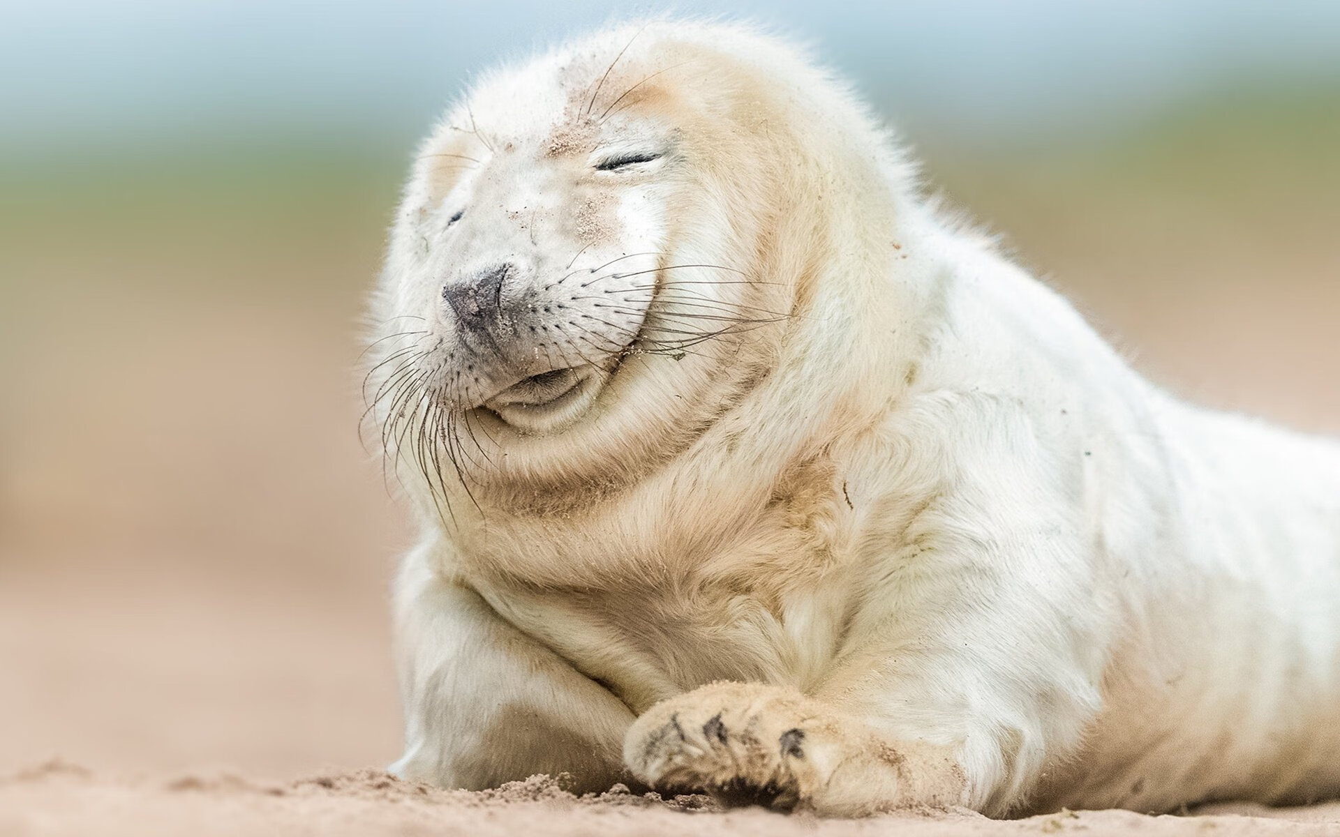 乔治的杀戮艺术，浙江队淘汰赛击溃骑士