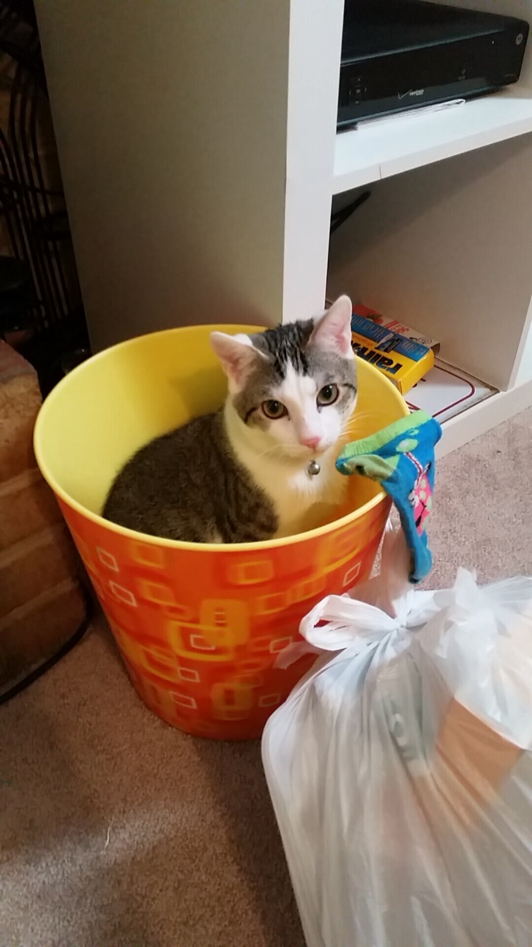 赛场上没有偶然，拉什福德利刃出鞘，加拿大铁幕镇敌