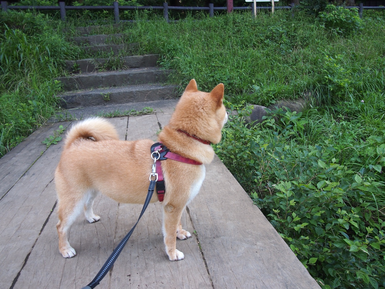 哨响之后，篮球与足球的两个风暴夜