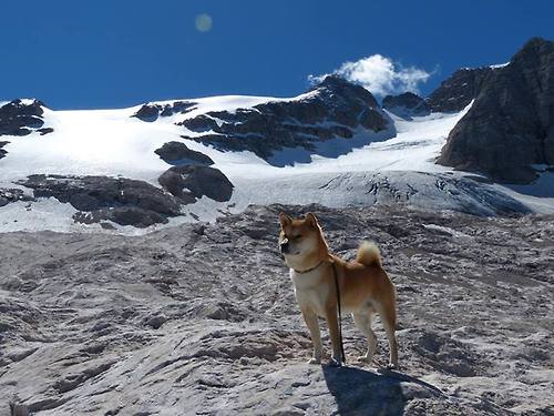 双面布克，从深圳夜空到欧冠球馆的篮球之火