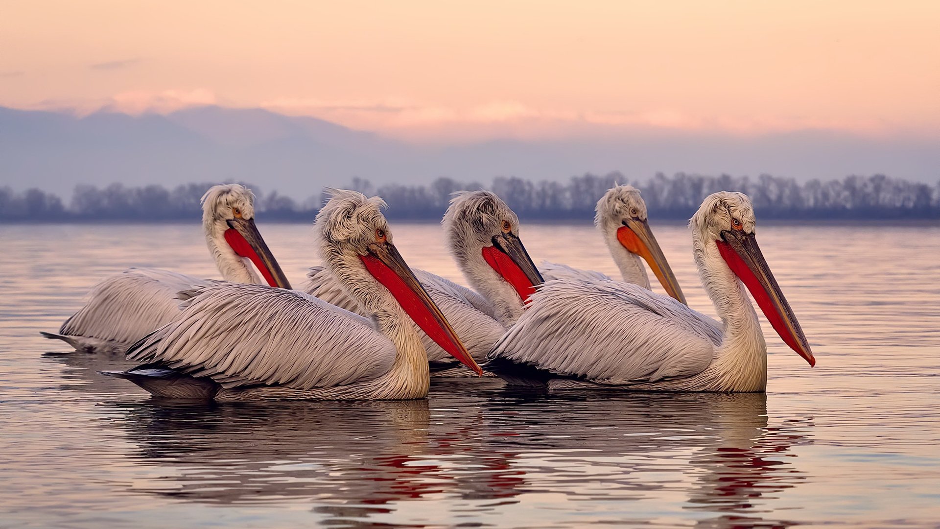 欧冠半决赛之夜,阿坎吉—棋盘上最稳的那颗棋,无声处听惊雷