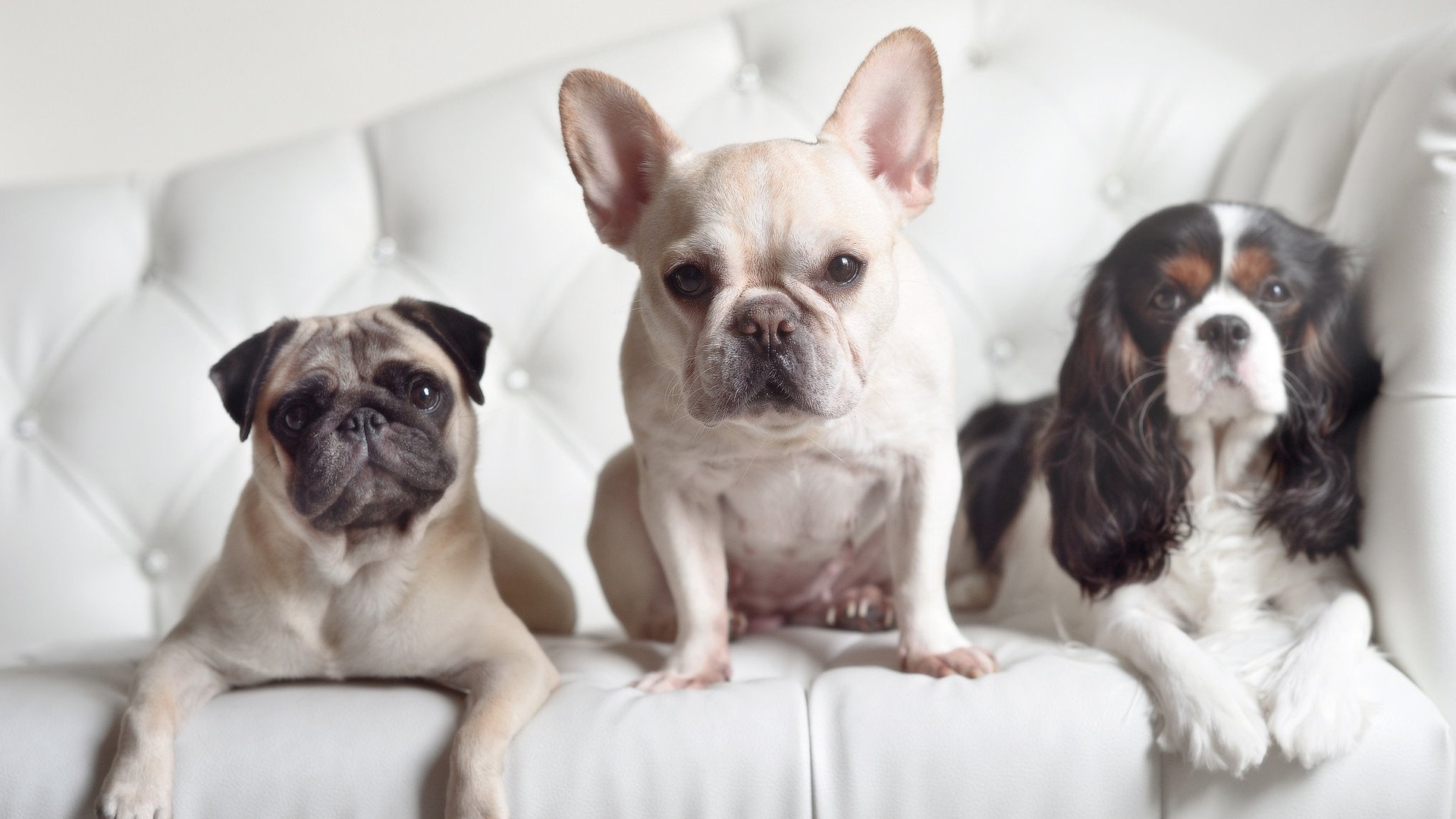 独步天下！恩比德50+燃动费城，书写当代中锋唯一性传奇