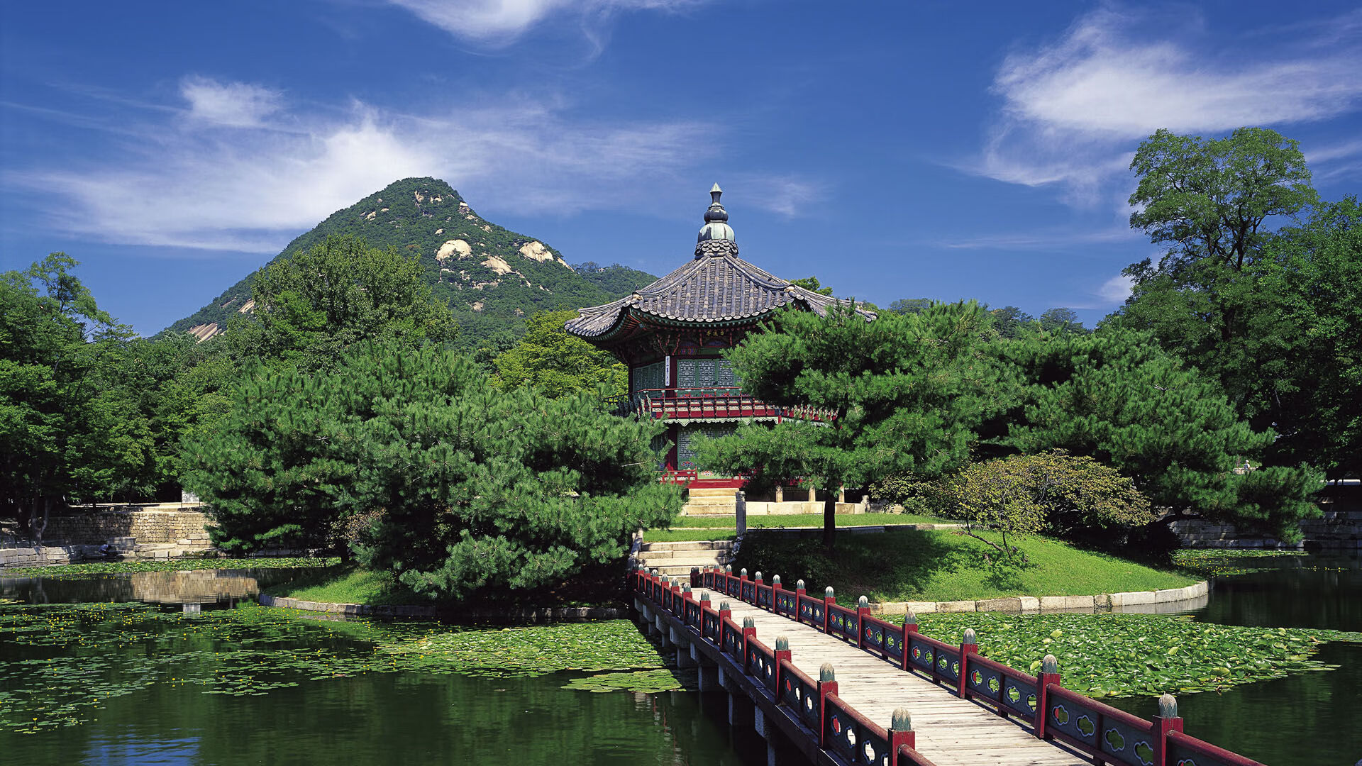 极限之夜,当F1的陆地流星划过文班亚马的冠军星空