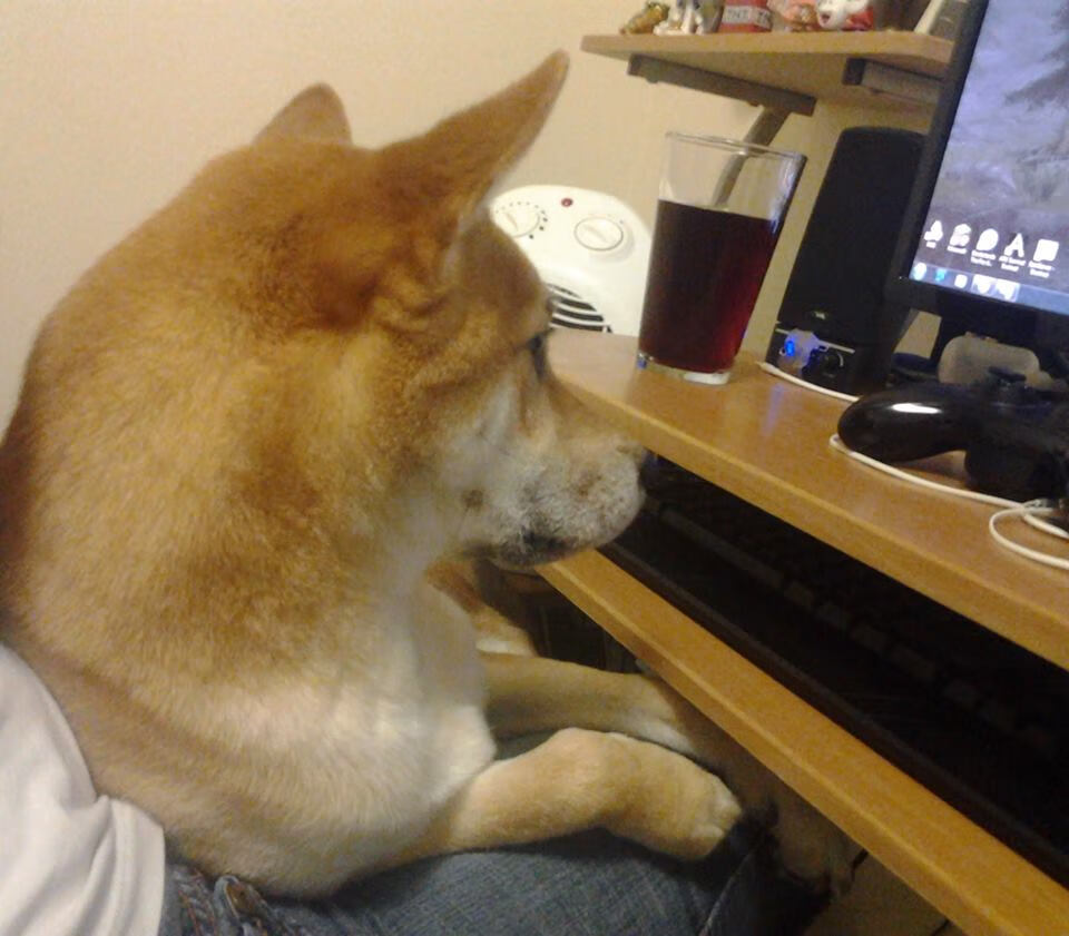 红与金的双重奏，广东队团队压制与詹姆斯个人接管