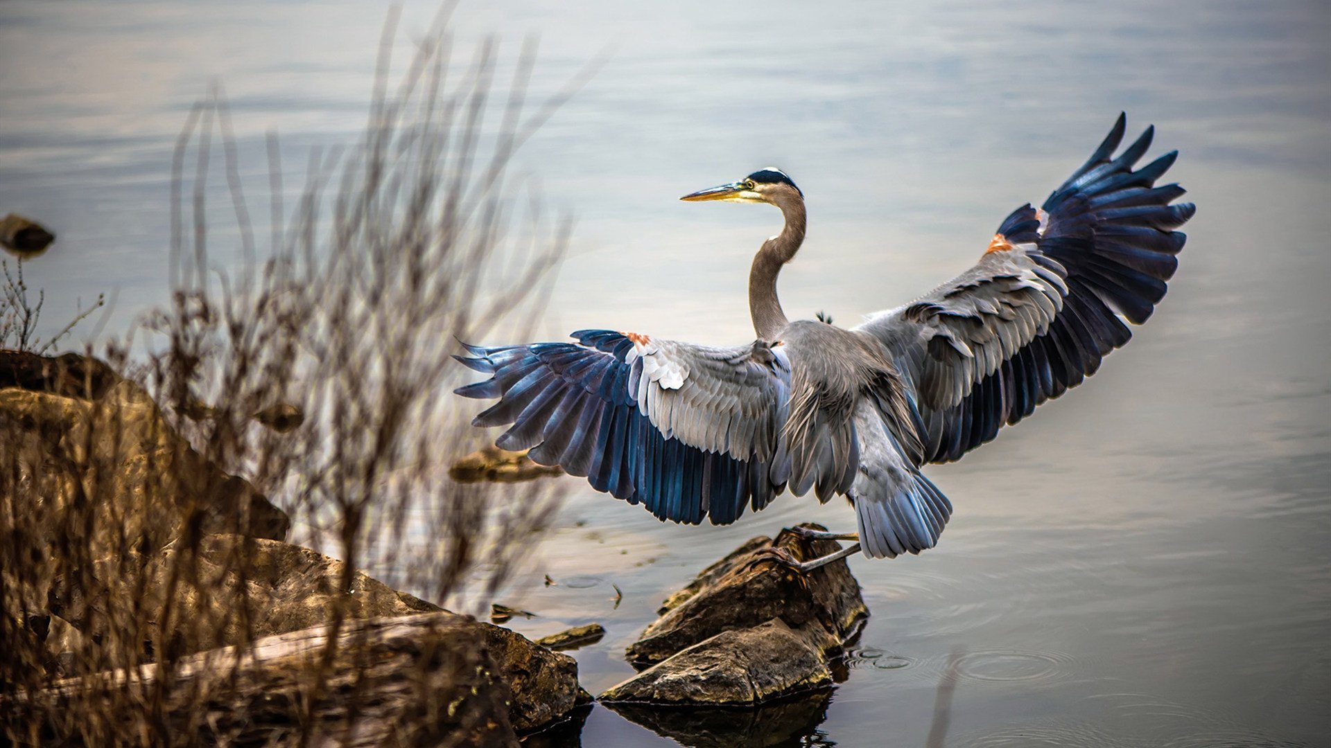 东方闪耀与非洲挑战，李刚仁全场最佳无争议，摩纳哥收割安哥拉