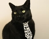 间隔十分钟的平行宇宙,当76人的团队雪崩遇见班凯罗的个人决堤