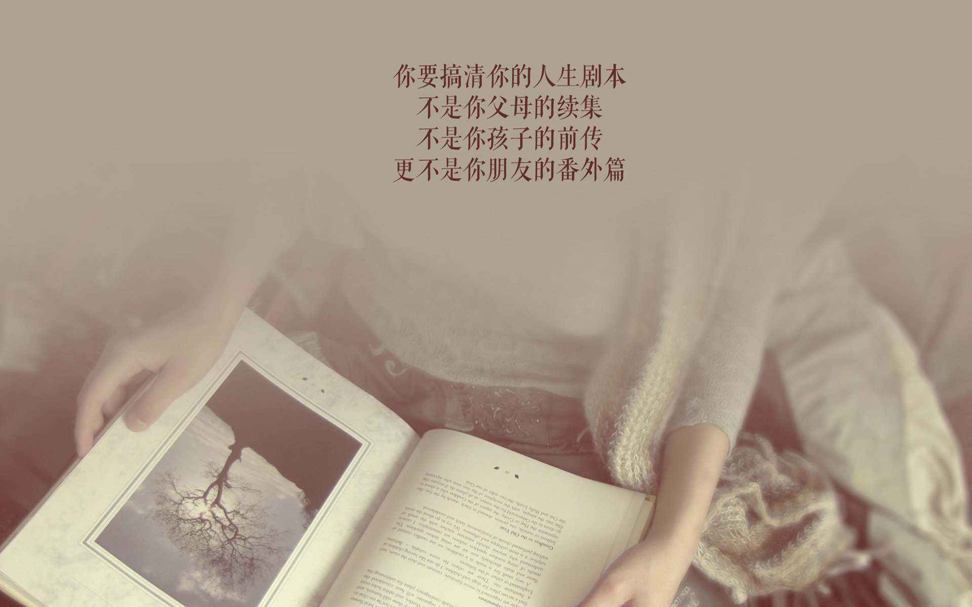 首先,是文章的标题