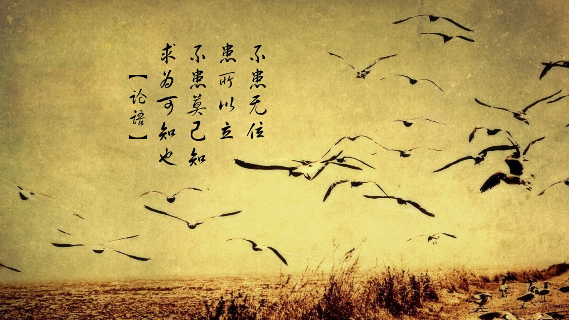 白与黑的交响,当塞维利亚碾碎南非,维尼修斯在废墟上暴走