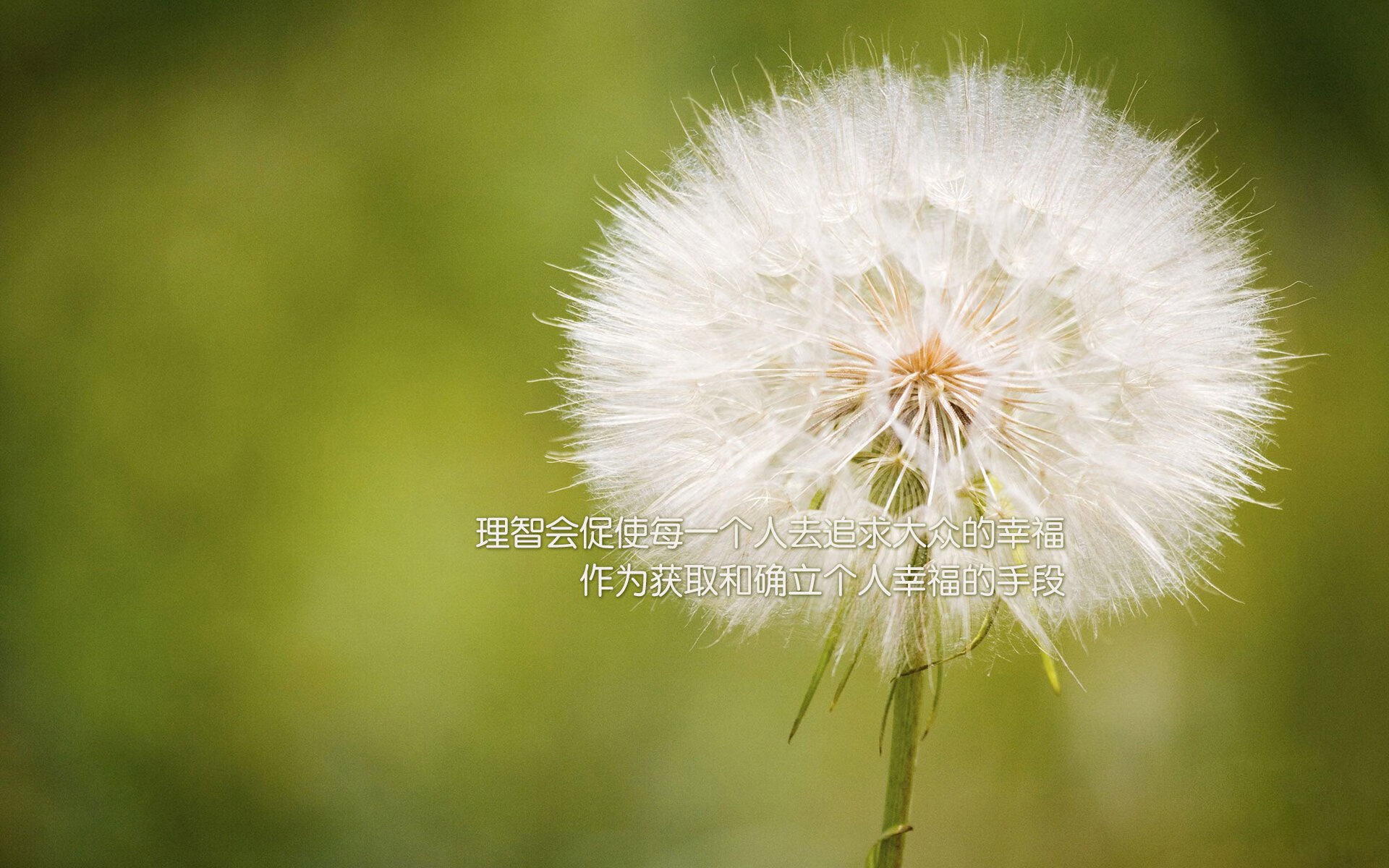 蓝色风暴席卷中亚,智利在2026世界杯E组以压倒性姿态宣告南美荣耀
