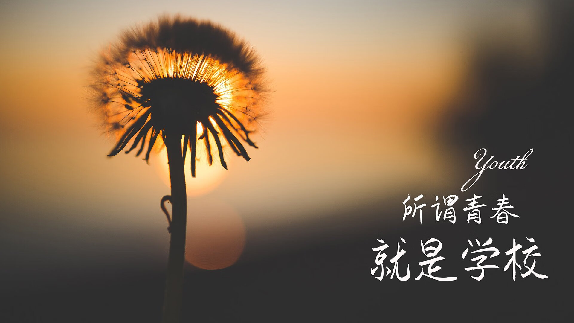 唯一性，当奥地利的风暴与三笘薰的魔法在2026世界杯C组交汇