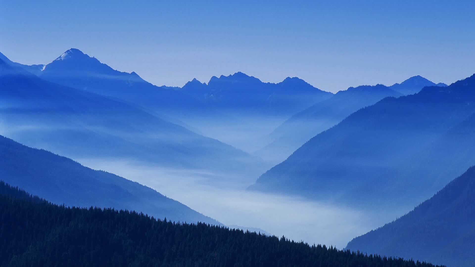沙漠之狐的黄昏,迪亚斯独舞,智利在2026世界杯F组焦点战中绝杀伊拉克