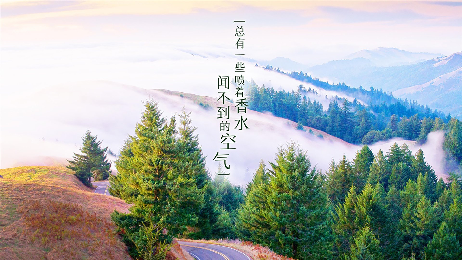 唯一的光,当苏亚雷斯的獠牙刺穿北境之盾—2026世界杯E组加拿大vs厄瓜多尔侧记