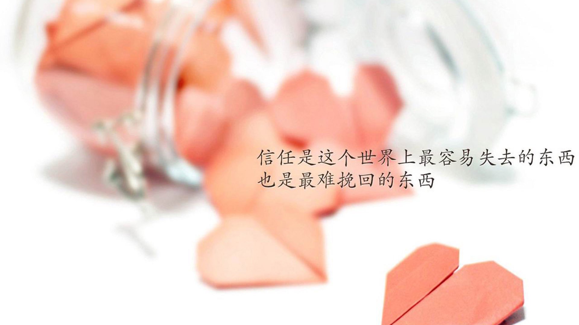 红魔的救赎与维京的黄昏,一场定生死的2026世界杯G组绞杀战